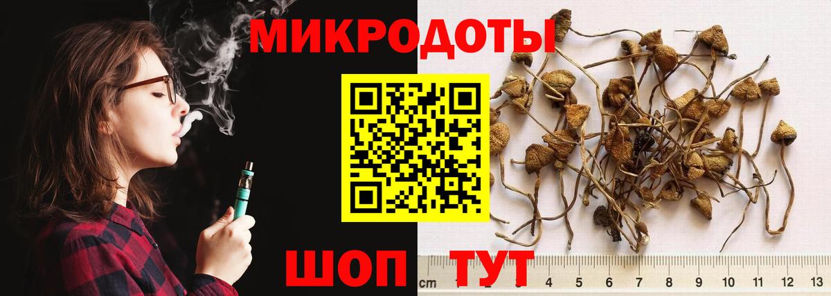Псилоцибиновые грибы GOLDEN TEACHER  где купить наркоту  Набережные Челны  Вход с VPN  Псилоцибиновые грибы Psilocybe 